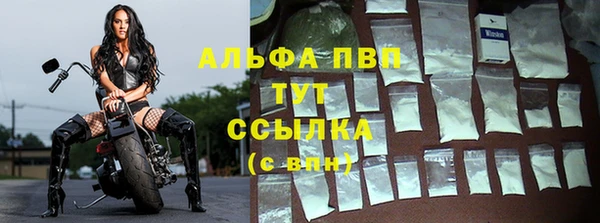 кокс Баксан