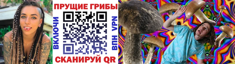 Псилоцибиновые грибы Psilocybe  сколько стоит  Разумное 
